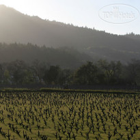 Lavender, A Four Sisters Inn 