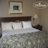 Tarzana Inn