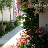 Tarzana Inn