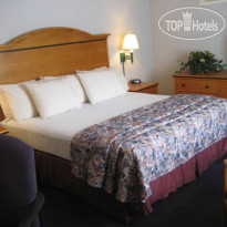 Tarzana Inn