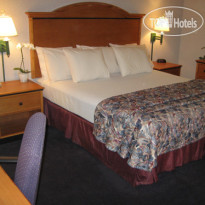 Tarzana Inn