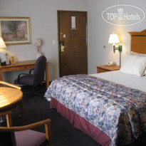 Tarzana Inn