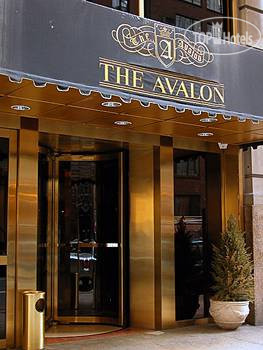 Фотографии отеля  Avalon 5*
