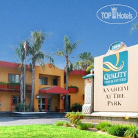 Quality Inn & Suites Anaheim at the Park 2*