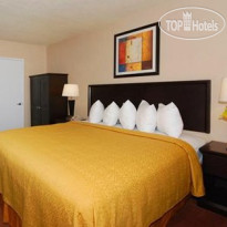 Quality Inn & Suites Anaheim at the Park 