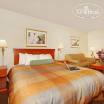 Best Western Plus Airport Inn and Suites 