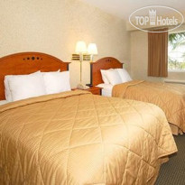 Comfort Inn Modesto 