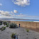 Best Western Plus Beach Resort Monterey 