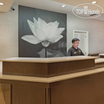 La Quinta Inn & Suites Buena Park