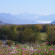 Alaska Garden Gate B&B and Cottages 