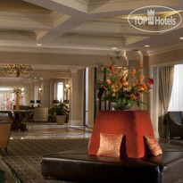 Hilton St. Petersburg Bayfront
