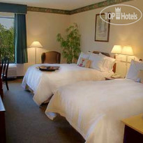 Hampton Inn St. Petersburg