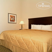 Comfort Inn & Suites Airport Fort Myers 