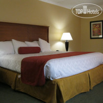 Best Western Plus International Speedway Hotel