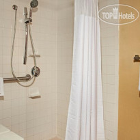 Courtyard Jacksonville Butler Boulevard 