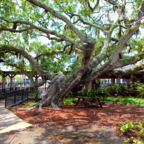 Legacy Vacation Club Palm Coast 