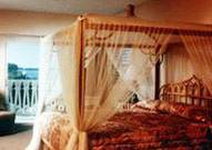 Новые добавленные фото туристов Banana Bay Resort & Marina 2*