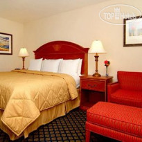 Comfort Inn Bradenton 