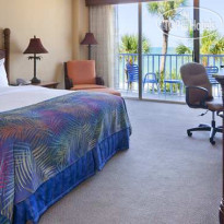 DoubleTree Beach Resort by Hilton Tampa Bay North Redington Beach