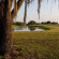 Westgate River Ranch 