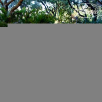 Courtyard Cocoa Beach Cape Canaveral