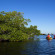 The Westin Cape Coral Resort at Marina Village 