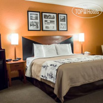 Sleep Inn & Suites Ocala near Florida Horse Park 