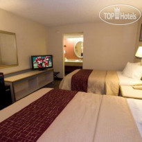 Red Roof Inn Tampa Busch Номер