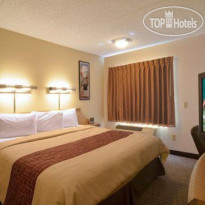 Red Roof Inn Tampa Busch Номер