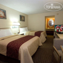 Red Roof Inn Tampa Busch Номер