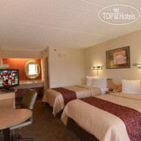 Red Roof Inn Tampa Busch Номер