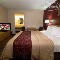 Red Roof Inn Tampa Busch Номер