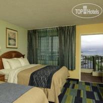 Comfort Inn & Suites Port Canaveral Area 