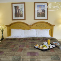 Best Western Plus Phoenix Goodyear Inn 