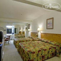 Americas Best Value Inn-Globe Miami 
