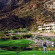 The Phoenician, a Luxury Collection Resort, Scottsdale 