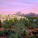 Best Western Plus Inn of Sedona 