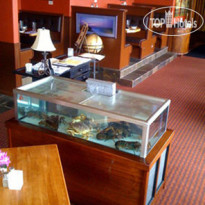 Best Western Inn at Face Rock