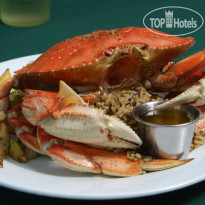 Best Western Inn at Face Rock