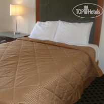 Chestnut Tree Inn Portland Номер