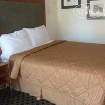 Chestnut Tree Inn Portland Номер