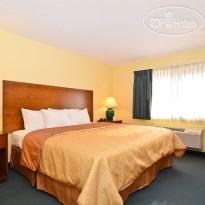 Best Western Ambassador Inn & Suites 