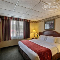 Comfort Suites Green Bay Номер