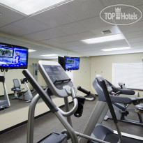 Best Western Shelby Inn & Suites