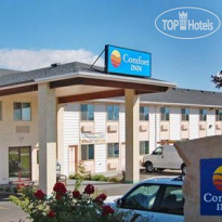 Comfort Inn Airport 