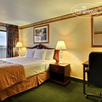 Comfort Inn Airport Grand Rapids 