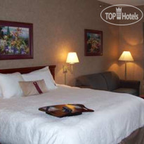 Hampton Inn Detroit/Belleville-Airport Area 