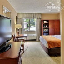 Comfort Inn Traverse City 