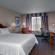 Hilton Garden Inn Detroit Metro Airport 