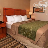 Comfort Inn Metro Airport Romulus